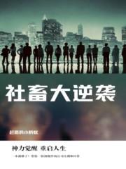 社畜的我